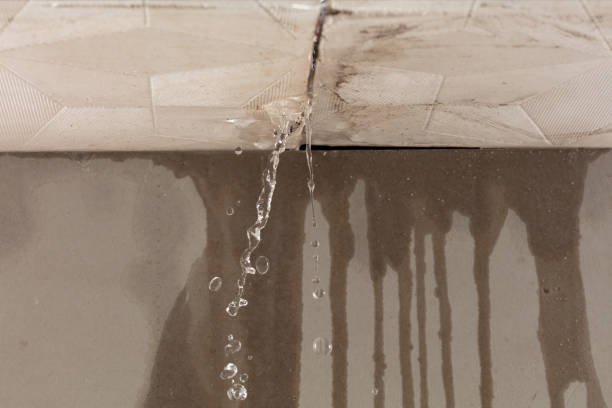 Professional Water Damage Repair technician working in Goshen, IN